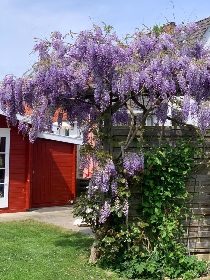 Komfort Ferienwohnung Kroemer Timmendorfer Strand Bagian luar foto